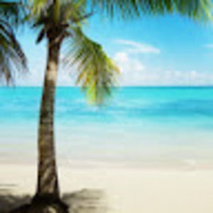 Meet your Posher, Jeanne